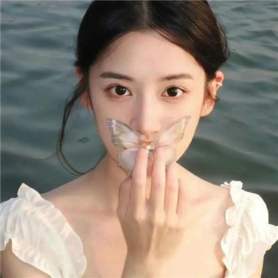 银色之翼